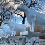 Kopp's Frozen Custard