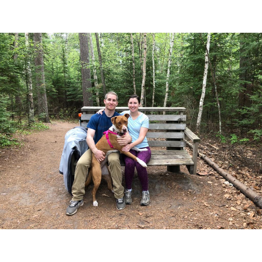 The "Lost 40" forest by the cabin