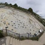Dinosaur Ridge