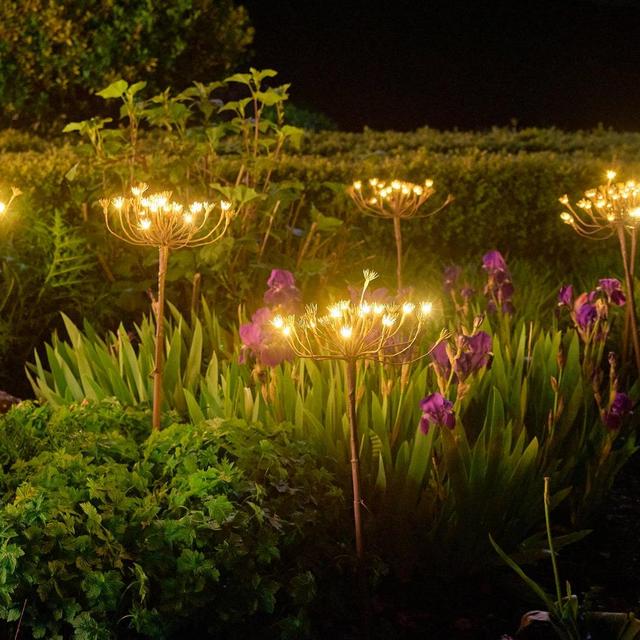 Solar Wild Fennel Light