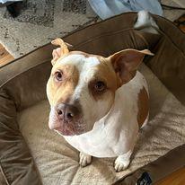 Our girl Elsie