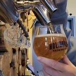 Holidaily Brewing Company