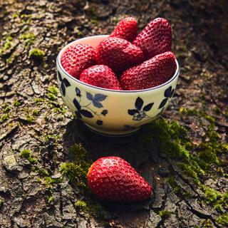 Wild Strawberry Bowl