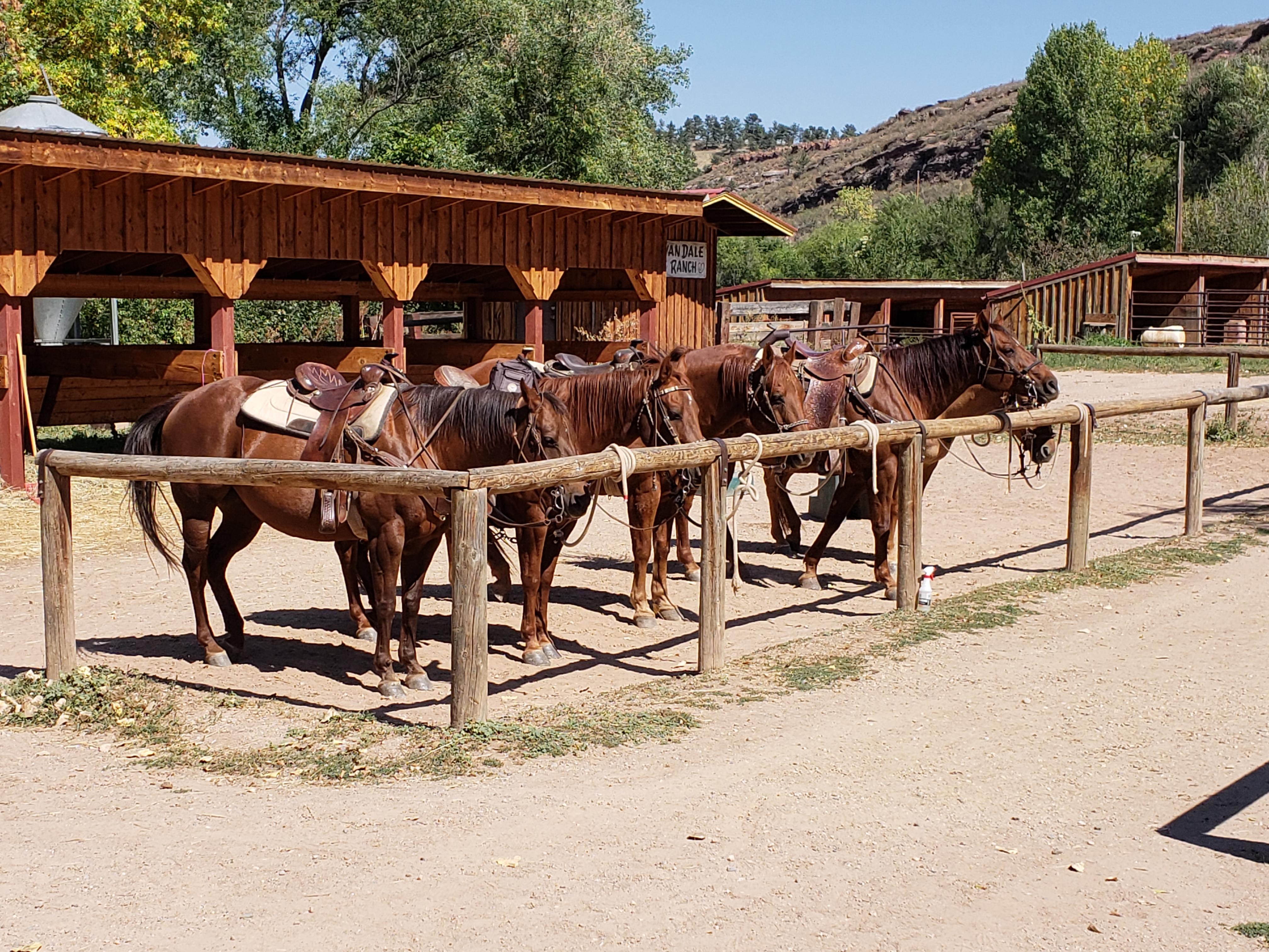 The Wedding Website of Courtney Brown and John Fiers