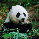 National Zoo