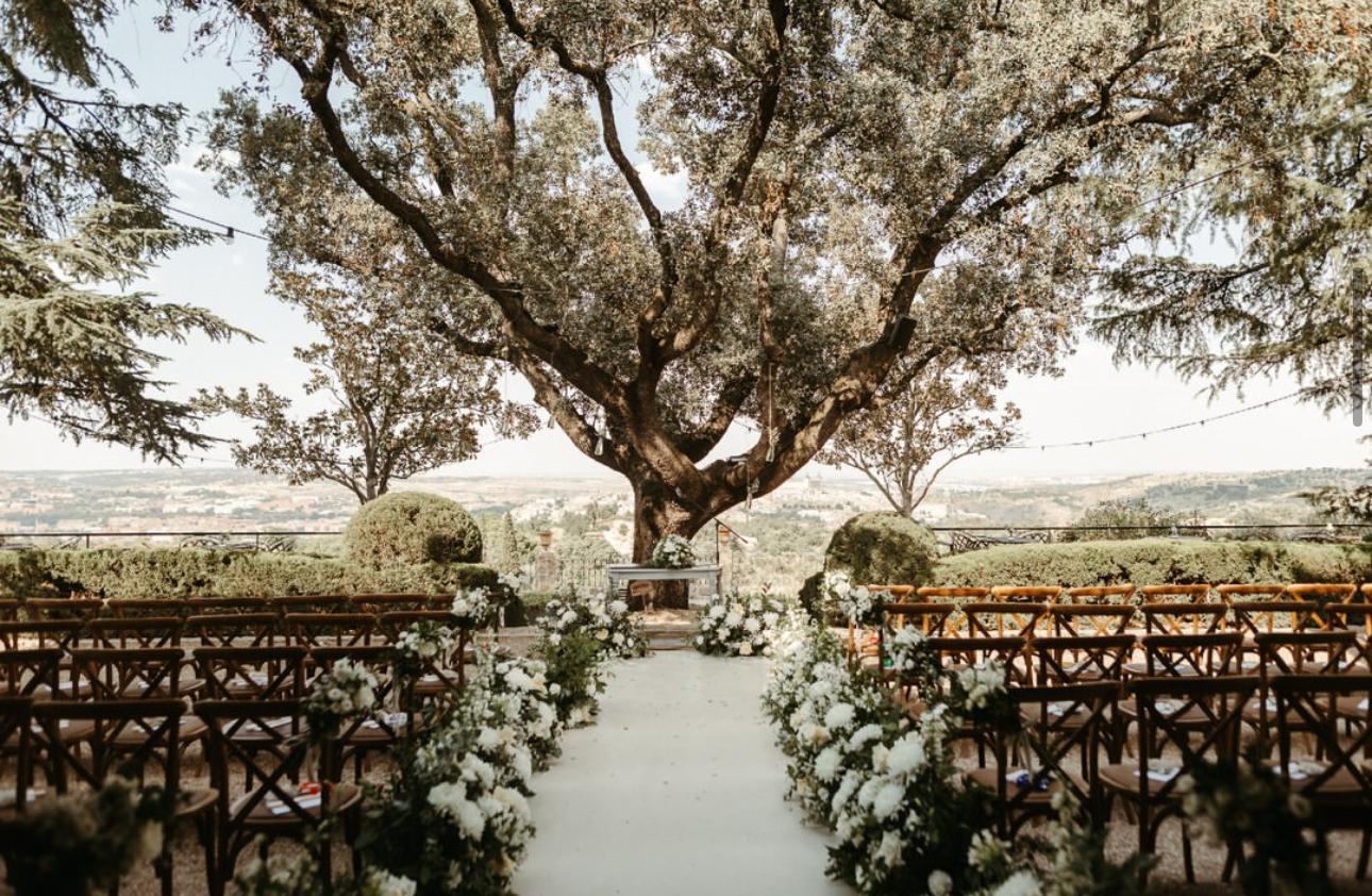 The Wedding Website of Antonia Cohrs and Michael Brazil