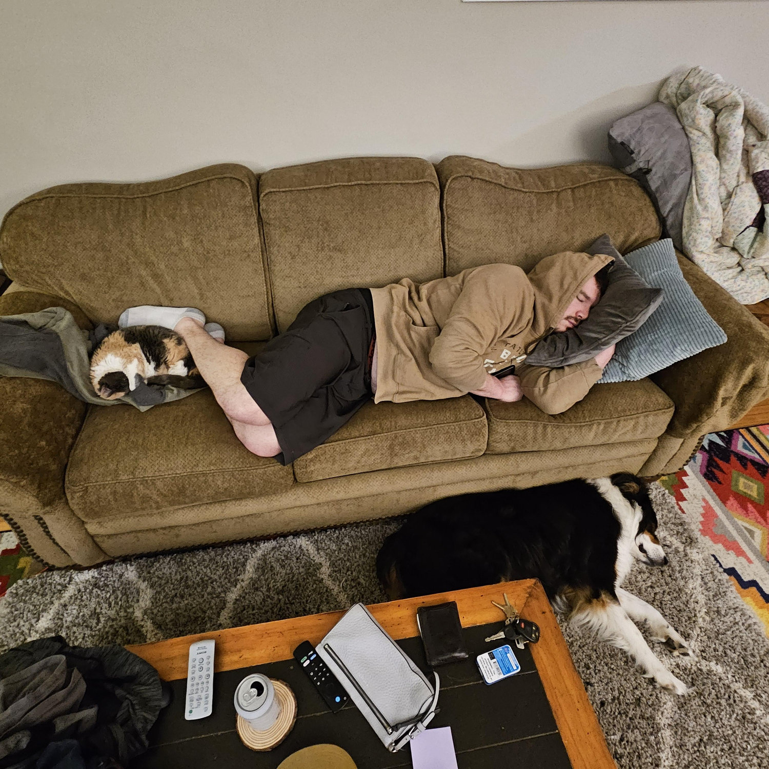 April 2024: Cat (and dog) nap