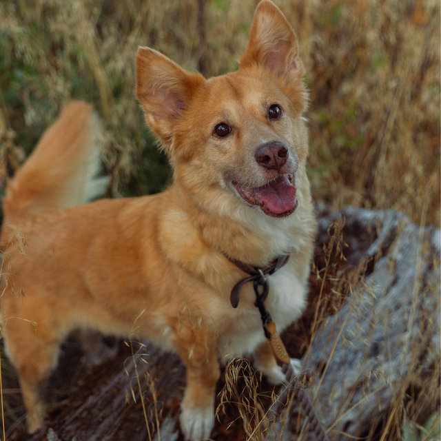 Winnie’s Treat Fund