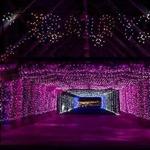 The Gift of Lights