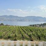 Quails' Gate Winery