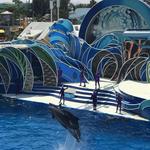 SeaWorld