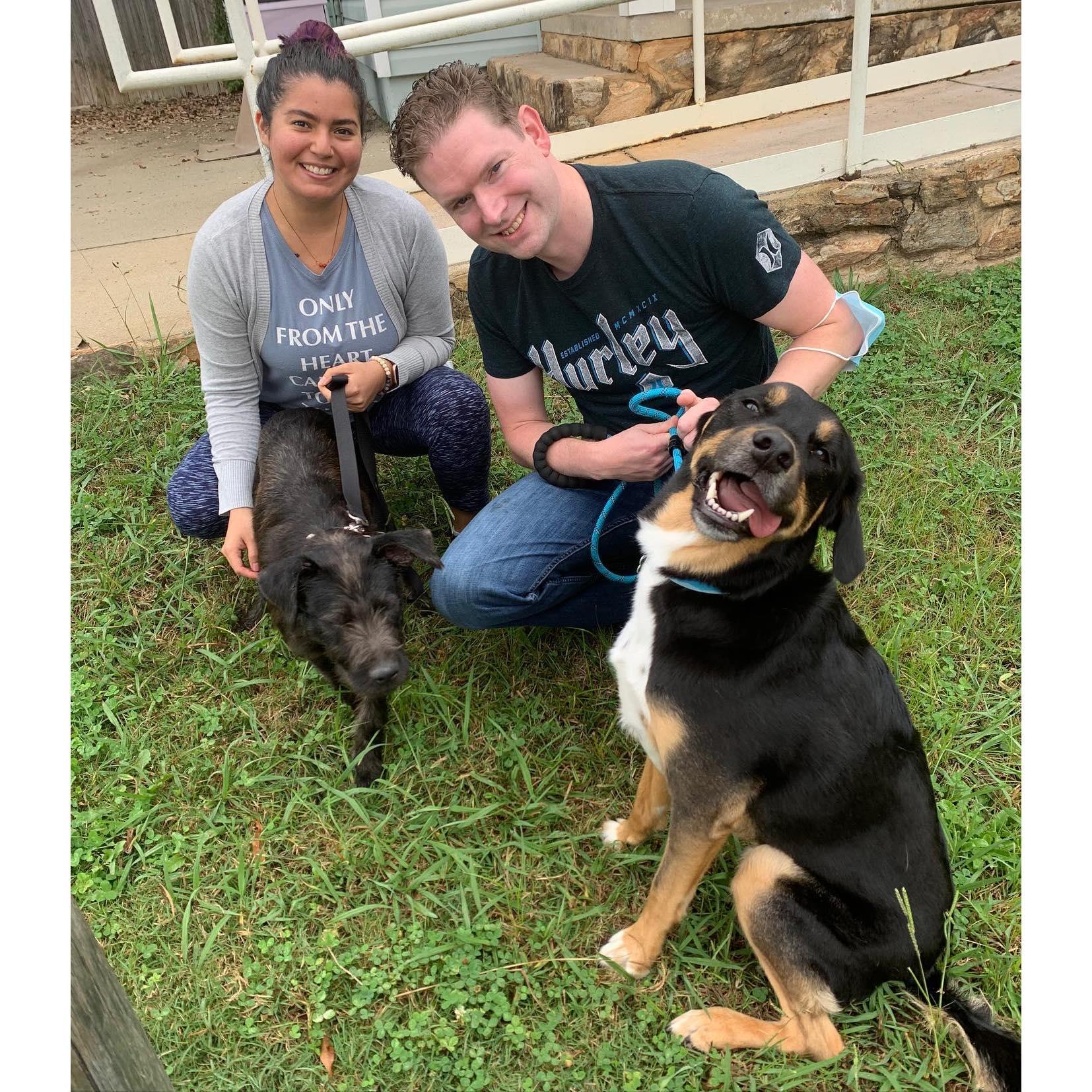 Teera's Gotcha Day! Nov 2020