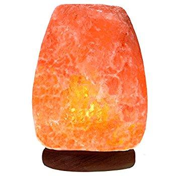Evolution Salt Himalayan Natural Cystal Salt Lamp
