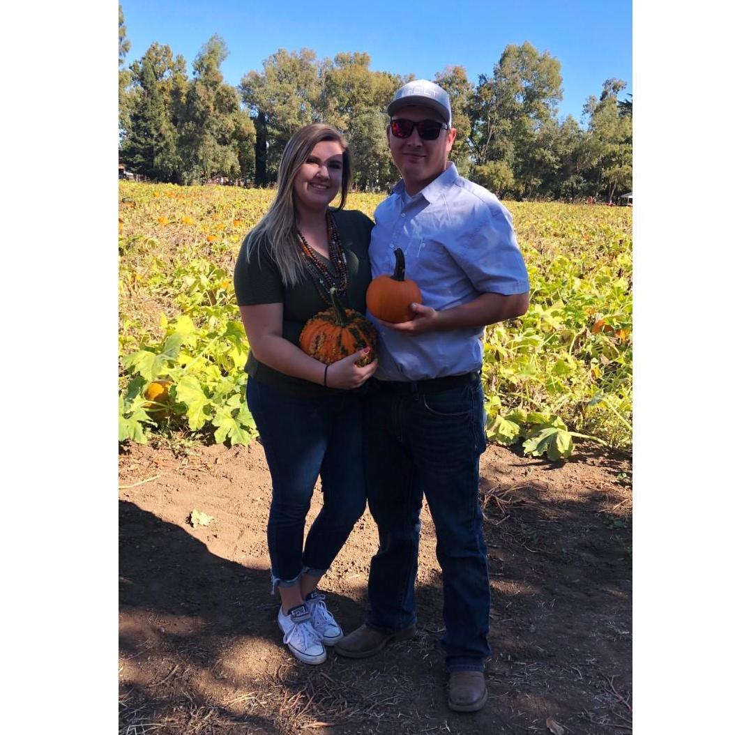 Pumpkin Patch!