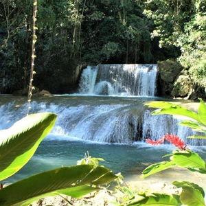 Black River Safari & YS Falls Guided Tour