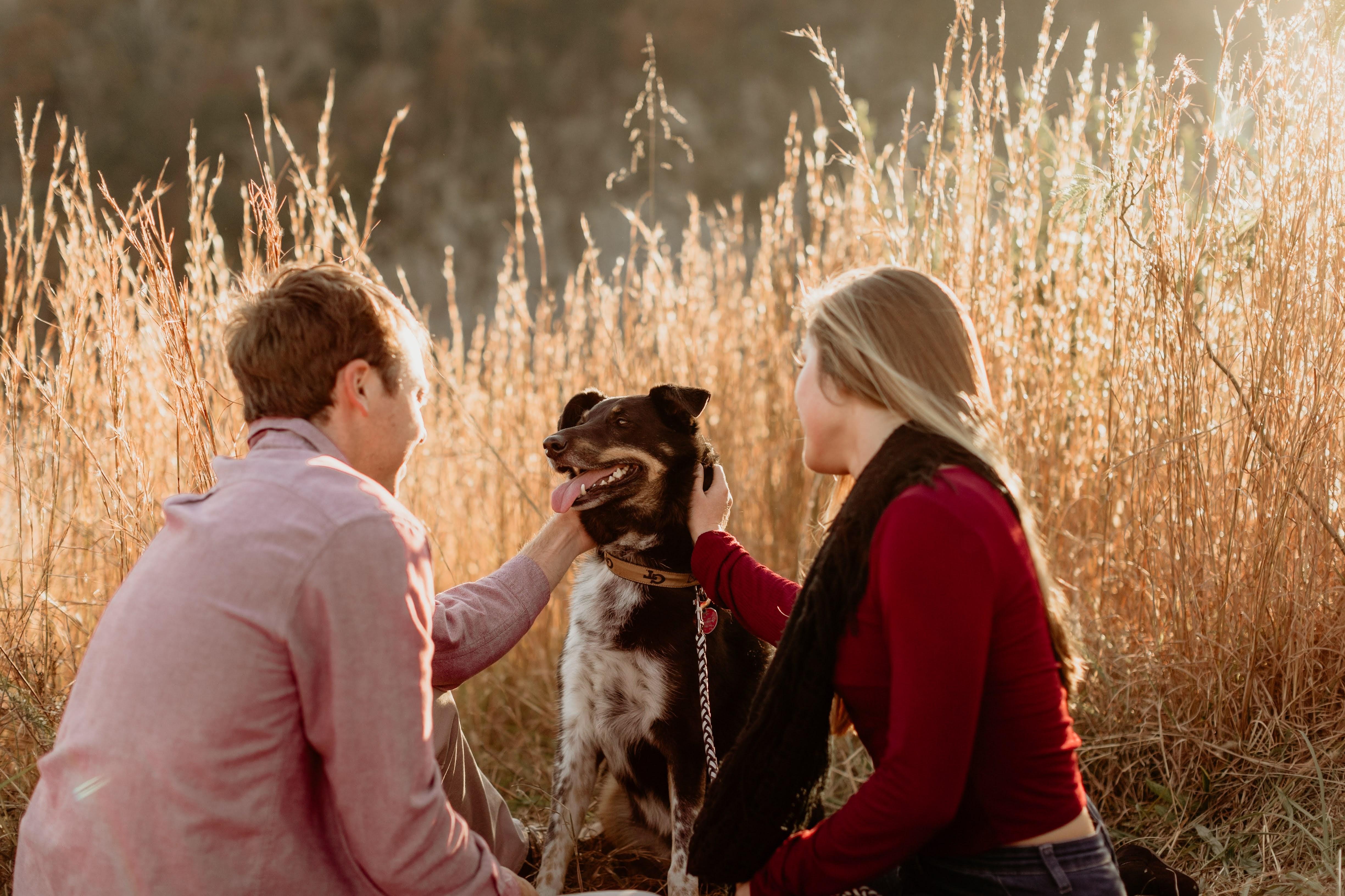 The Wedding Website of Caroline Shimkus and Alec Mullen