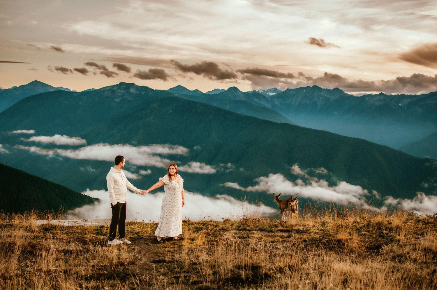 The Wedding Website of José Sierra and Annalise Johnson