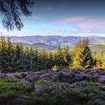 Glentress Mountain Bike Trail Centre (Peebles)