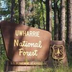 Uwharrie National Forest