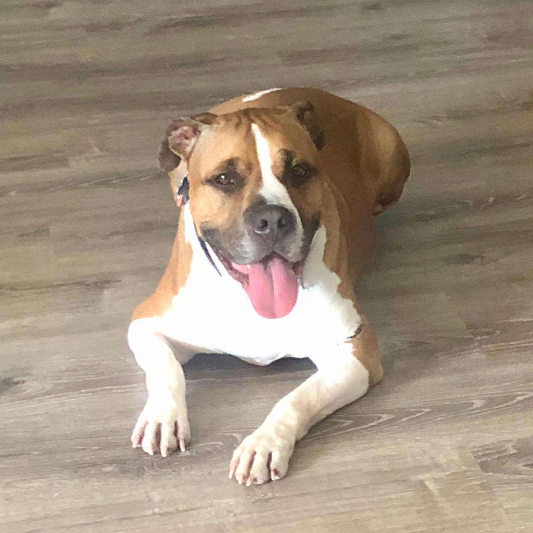 Panama City Beach, FL, 2022