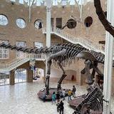 Fernbank Museum | 3D Theater | Forest