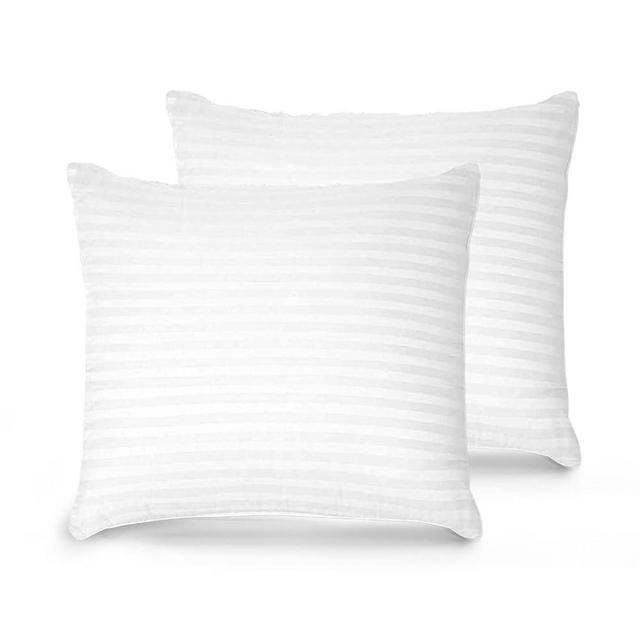 Trendy Home 22x22 Throw Pillow Insert, Cushion Sham Stuffer Hypoallergenic Decorative Home Outdoor Couch Sofa Pillow Filler (Machine Wash, 2 Pack)
