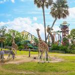 Busch Gardens Tampa Bay