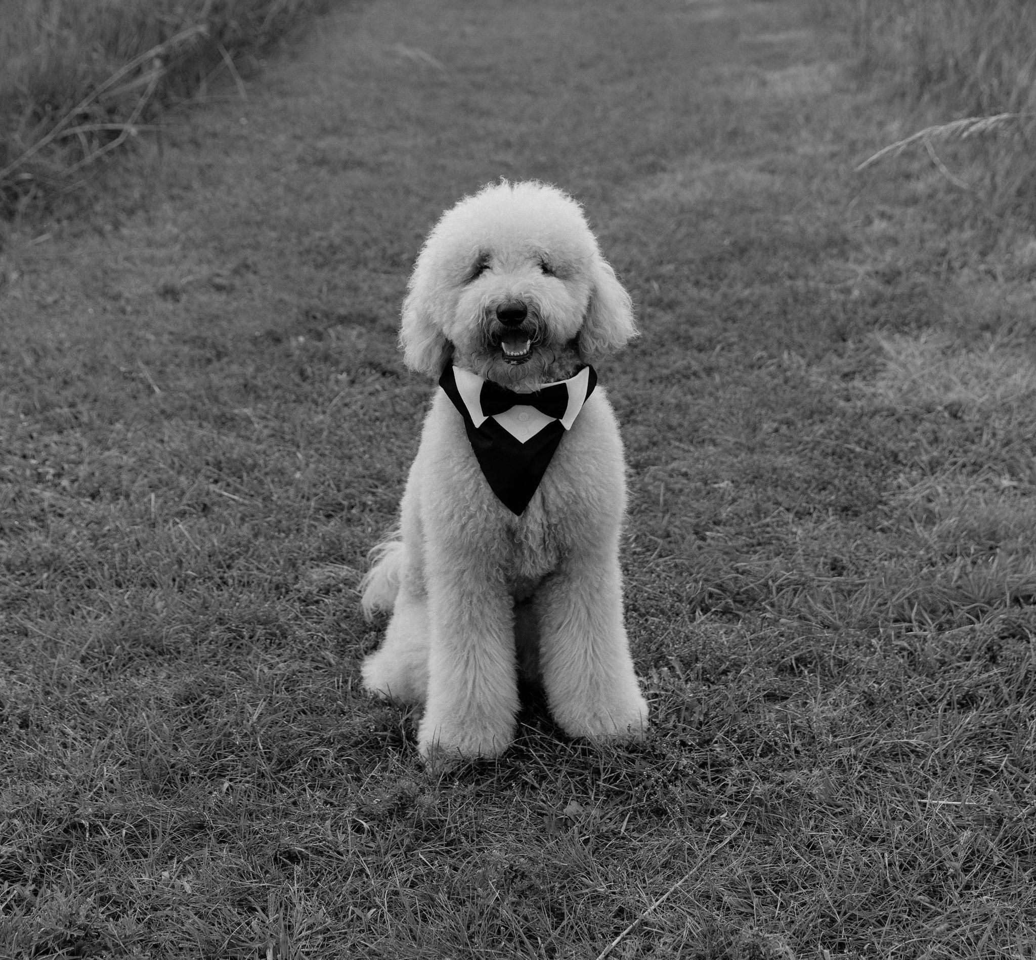 The Wedding Website of Annabelle Jo Nichols and Beau Bryan Hines