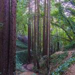 Joaquin Miller Park