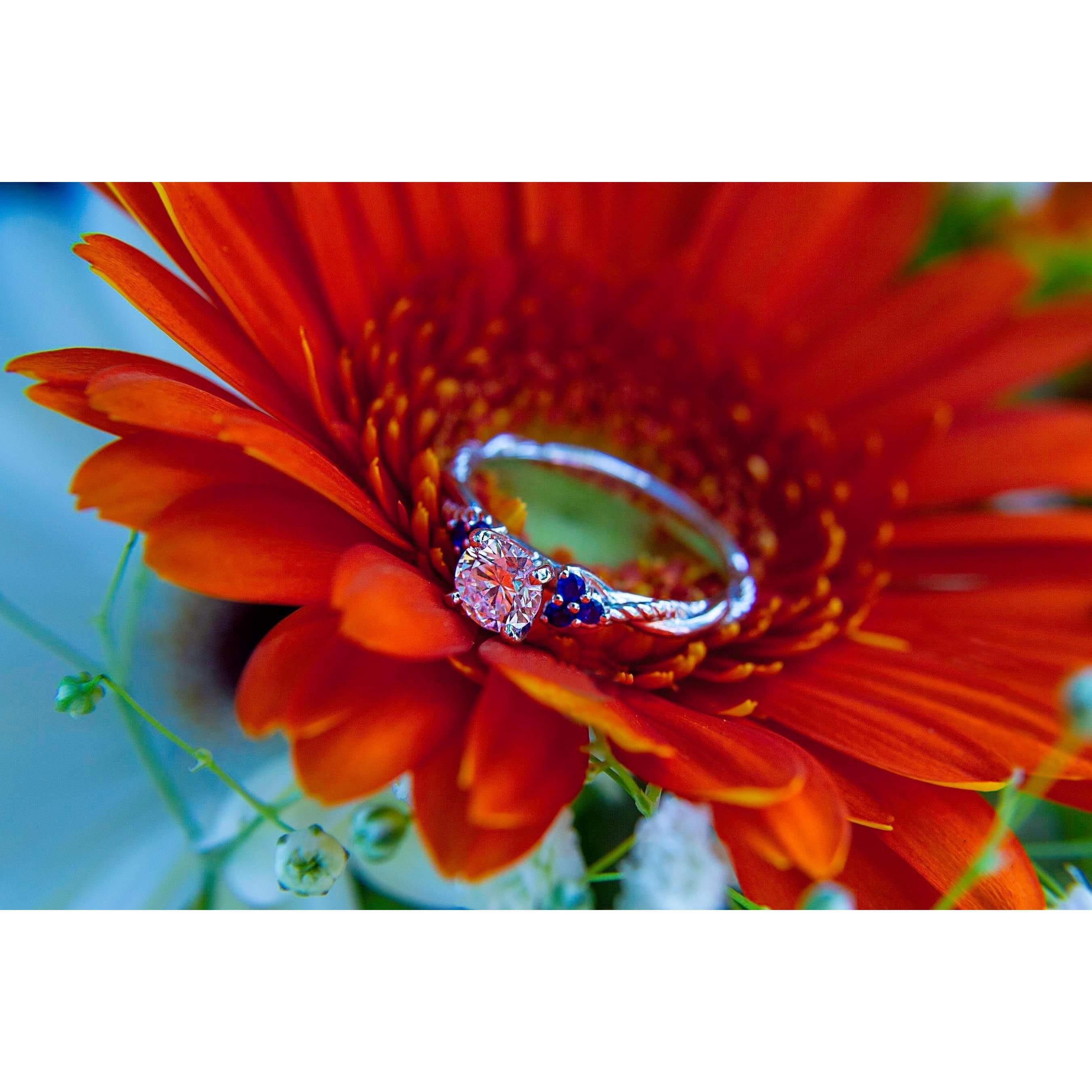 My gorgeous engagement ring