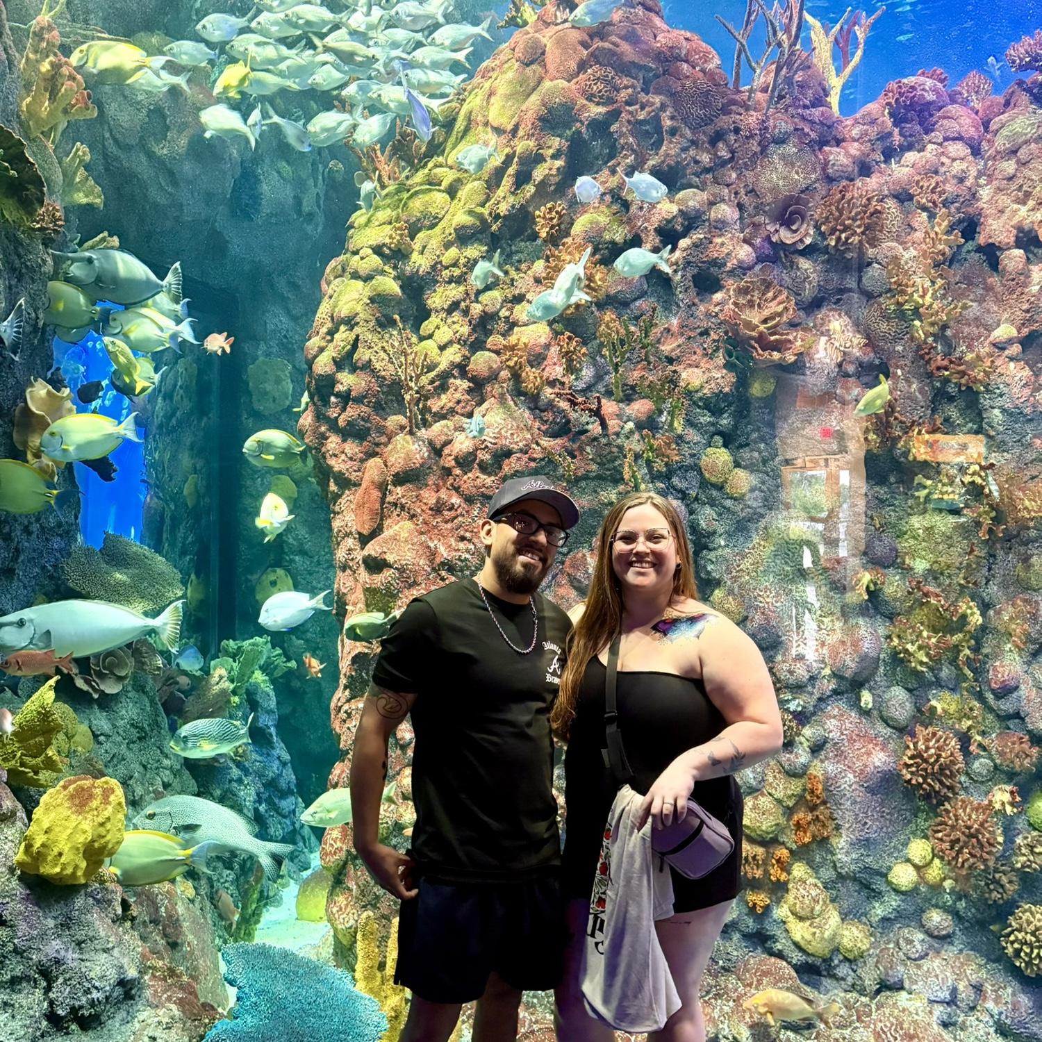 Branson, MO