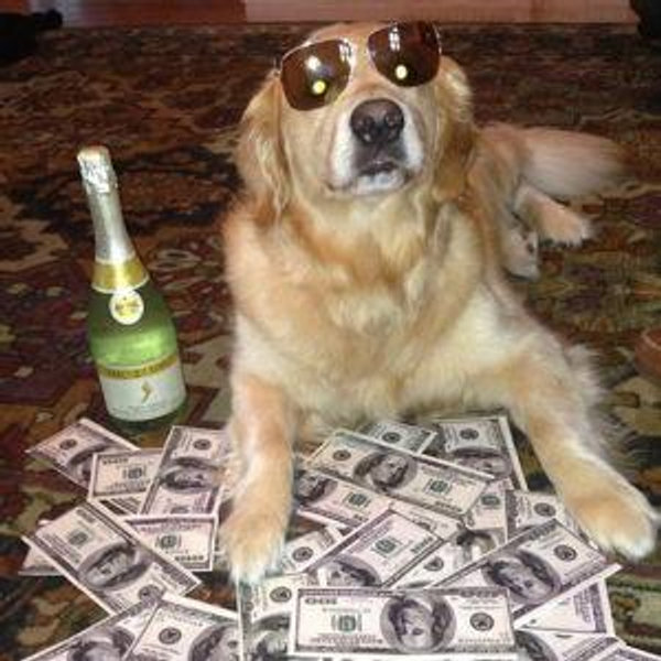 Cash Fund