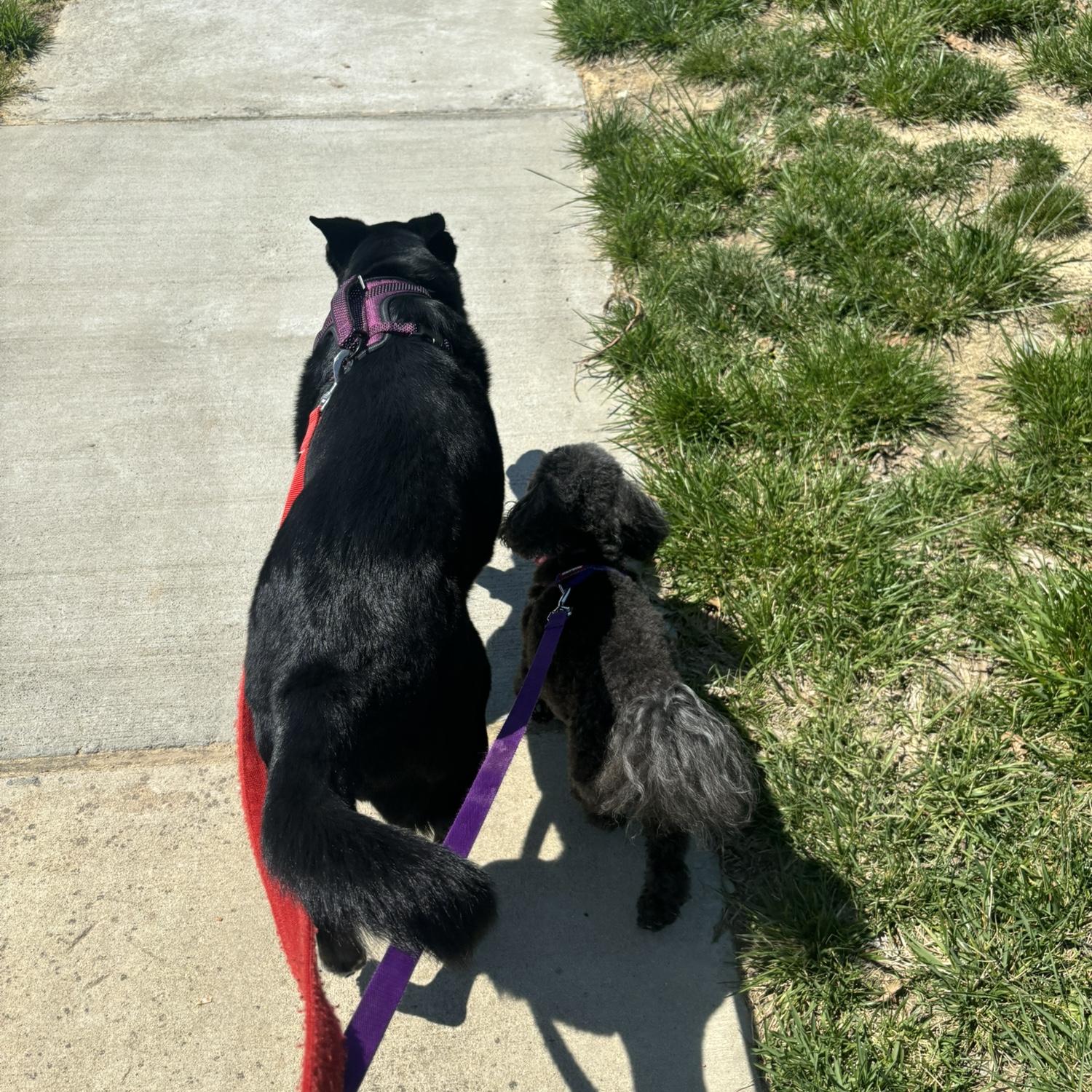 Two peas in a pod