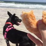 Britts Donuts