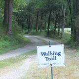 Nature Trails