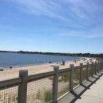 Niantic