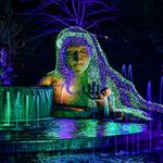 Atlanta Botanical Garden