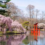 Brooklyn Botanic Garden