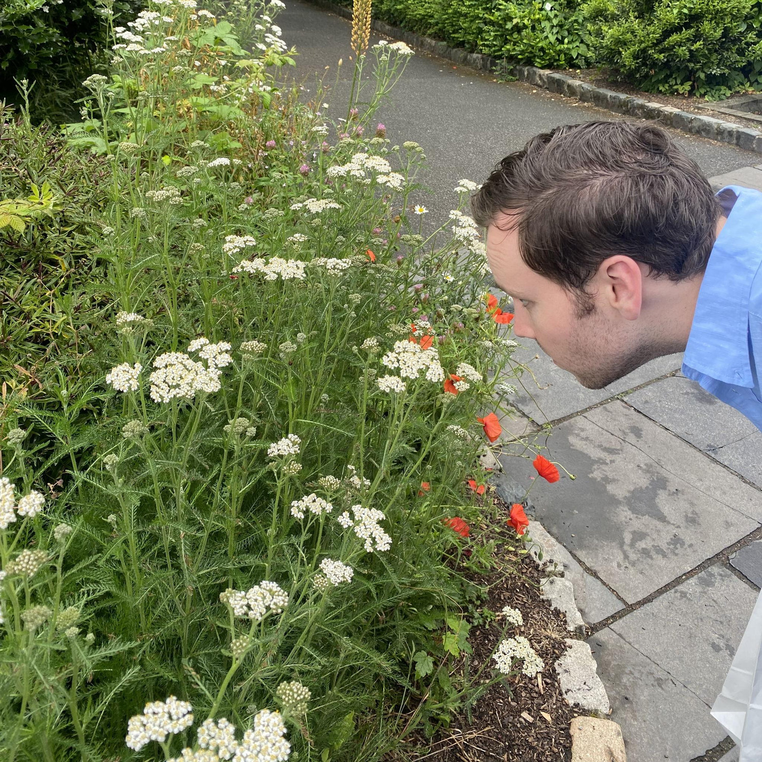 Michael attempts to get as close as possible to the bug! Remy should really get him a magnifying glass to carry around. 2023