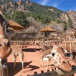 Cheyenne Mountain Zoo