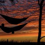 Hammocks