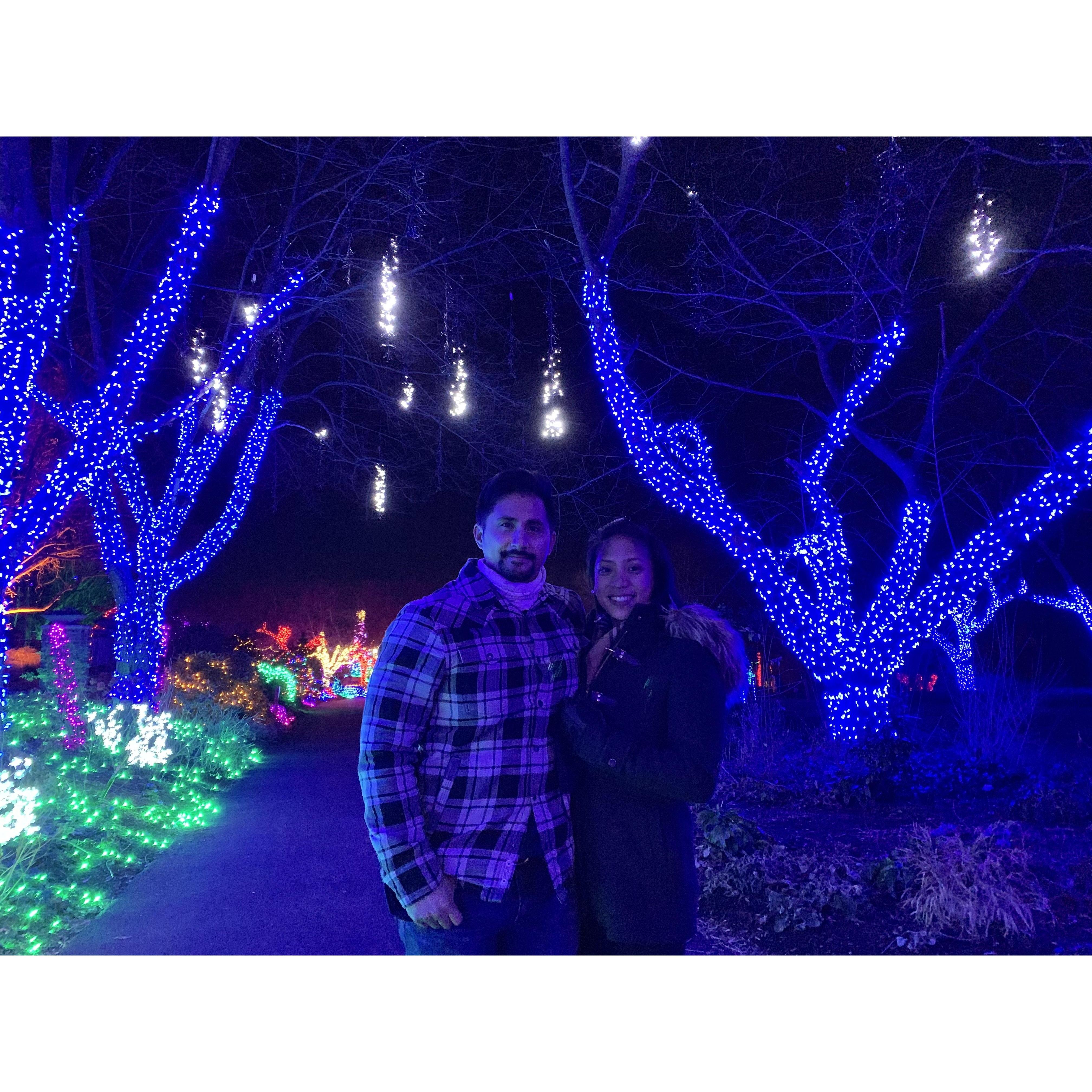 Christmas light wonderland walk