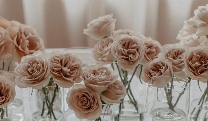 The Wedding Website of Catherine Oswald and James Harlen