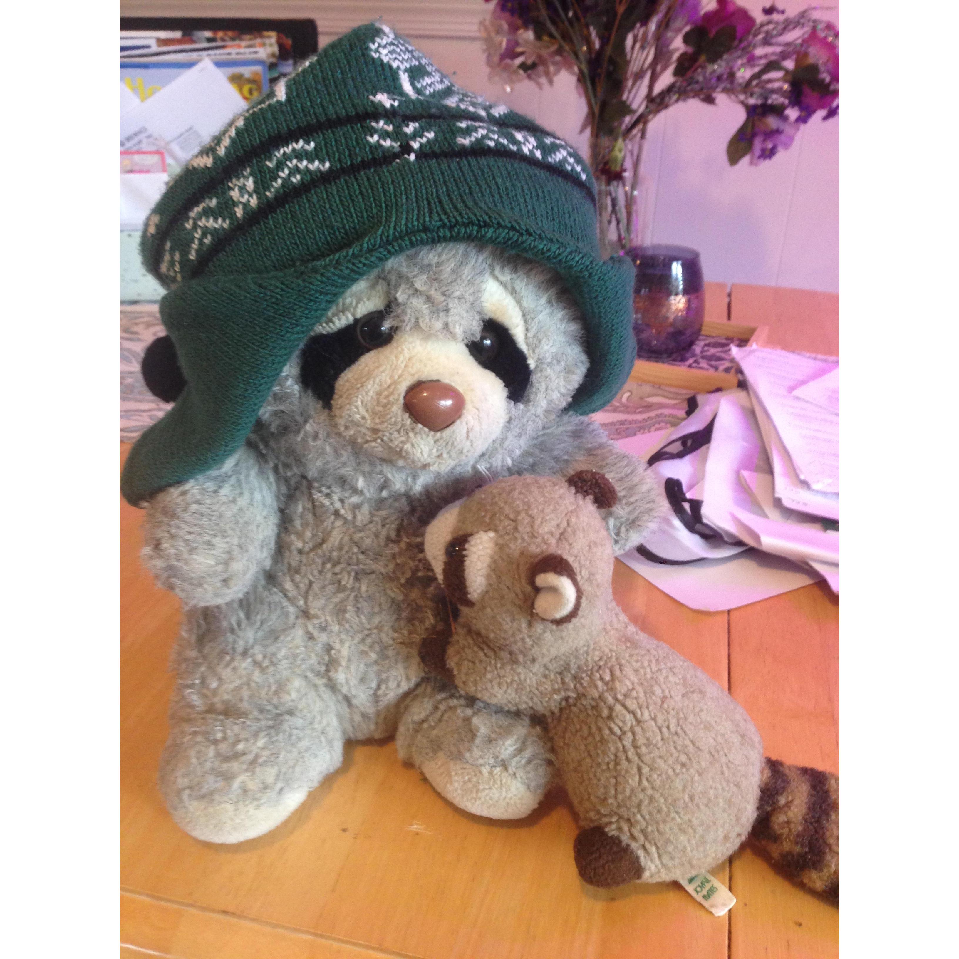 Evidence that this was fate - Robert grew up with a stuffed raccoon Rocky (left) and Wilma grew up with Rolly (right). Rock 'n Roll!