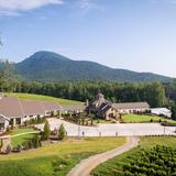 Yonah Mountain Vineyards