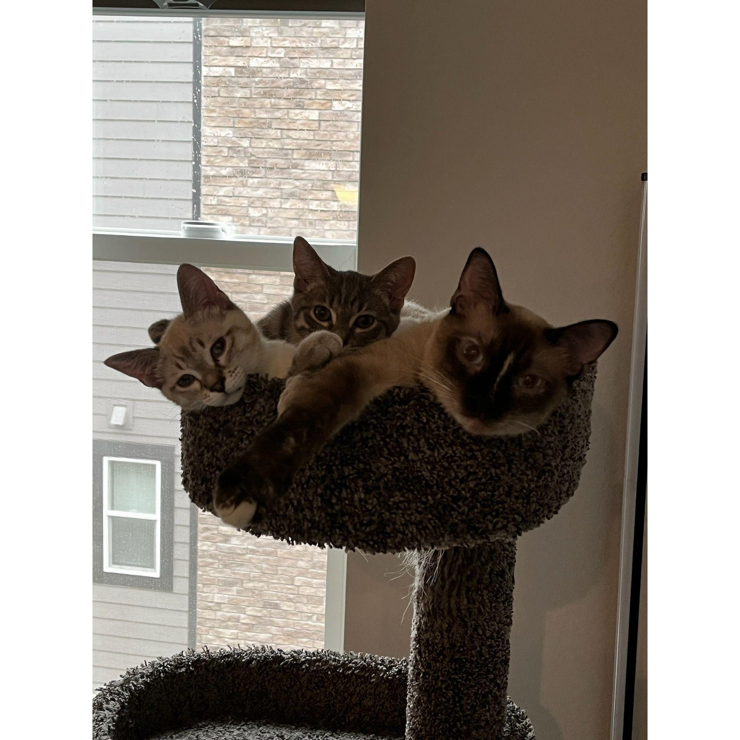 Our babies!