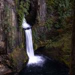 Umpqua National Forest