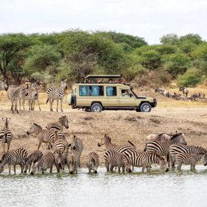 African Safari Honeymoon Fund