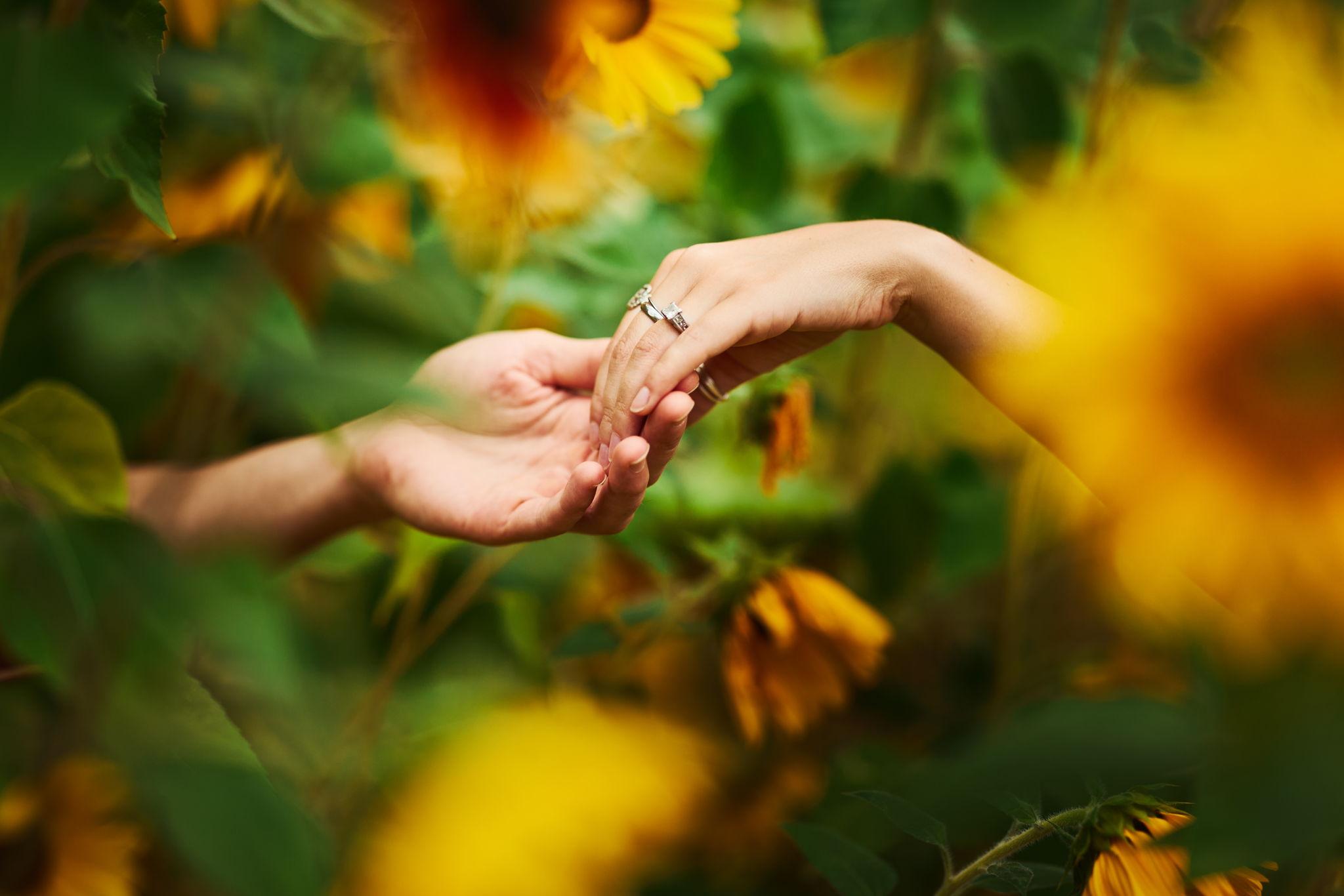 The Wedding Website of Sonya Hungerford and Logan Stephens