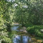 Torrey C. Brown Rail Trail